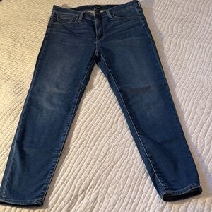 J. Crew Dark Blue Skinny Jeans